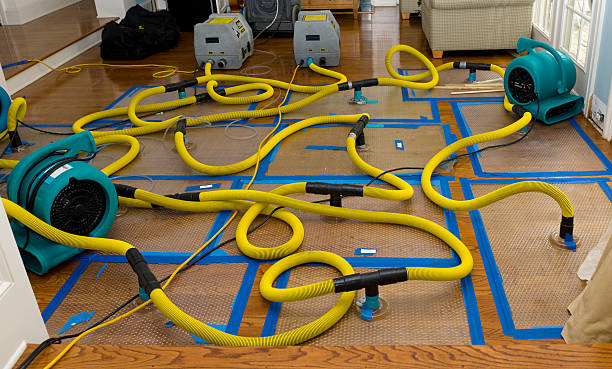 Professional Flood Damage Restoration technician working in Kenneth, MN